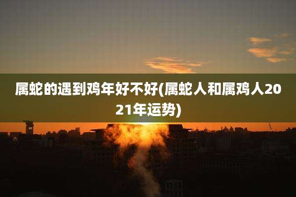 属蛇的遇到鸡年好不好(属蛇人和属鸡人2021年运势)