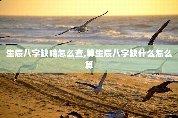 生辰八字缺啥怎么查,算生辰八字缺什么怎么算