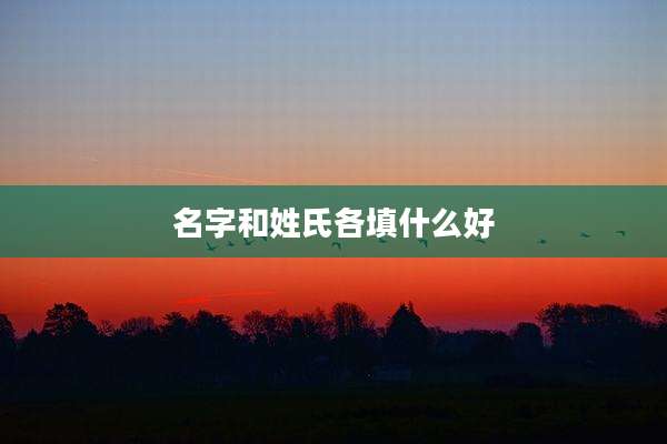 名字和姓氏各填什么好