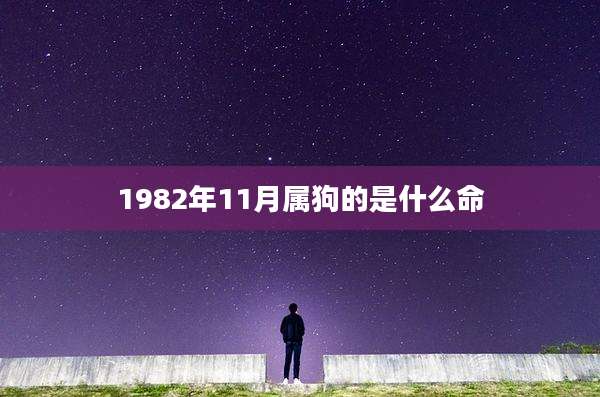 1982年11月属狗的是什么命