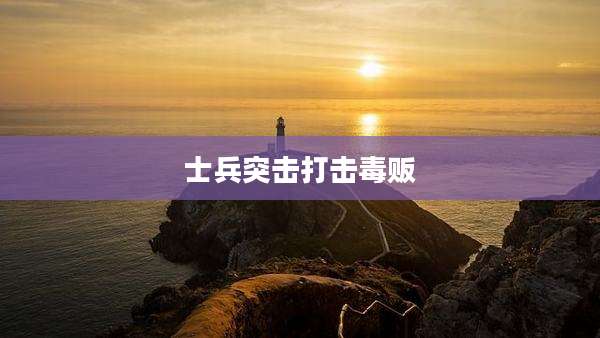 士兵突击打击毒贩