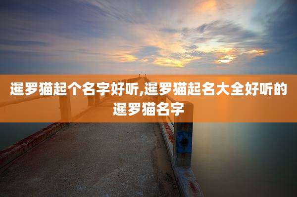 暹罗猫起个名字好听,暹罗猫起名大全好听的暹罗猫名字