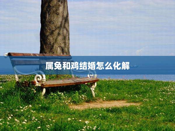 属兔和鸡结婚怎么化解