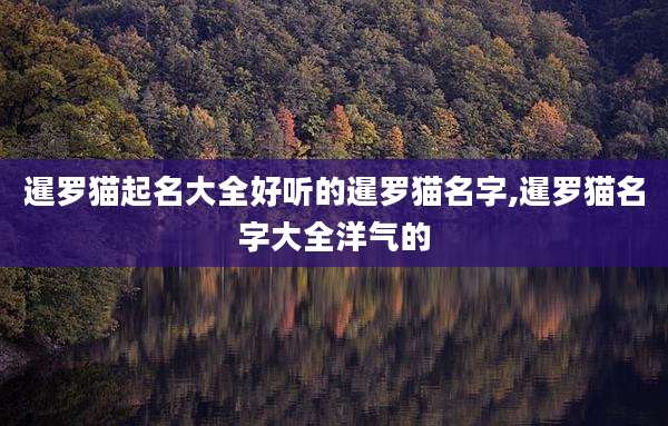 暹罗猫起名大全好听的暹罗猫名字,暹罗猫名字大全洋气的