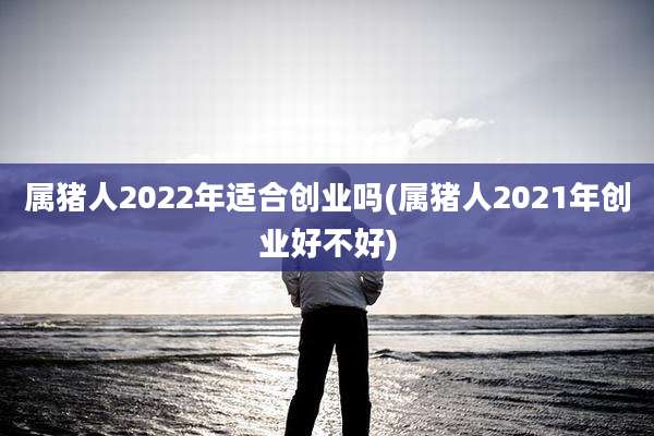 属猪人2022年适合创业吗(属猪人2021年创业好不好)