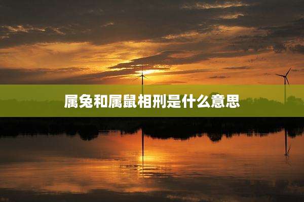 属兔和属鼠相刑是什么意思