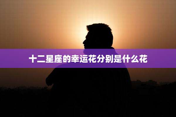 十二星座的幸运花分别是什么花