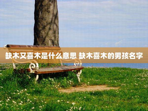 缺木又喜木是什么意思 缺木喜木的男孩名字