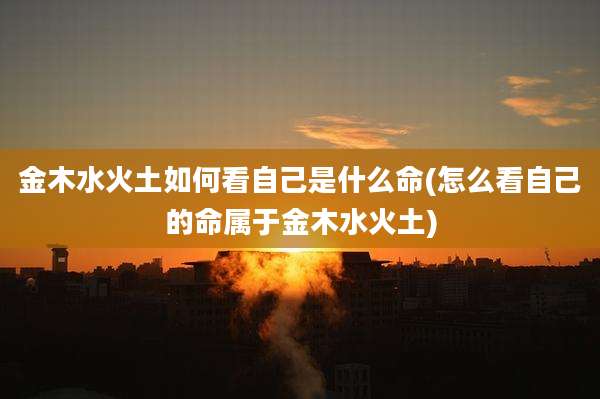 金木水火土如何看自己是什么命(怎么看自己的命属于金木水火土)