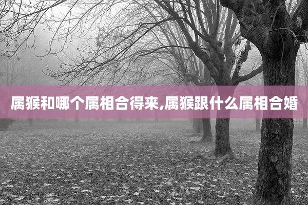 属猴和哪个属相合得来,属猴跟什么属相合婚