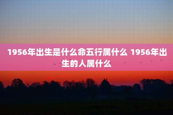 1956年出生是什么命五行属什么 1956年出生的人属什么