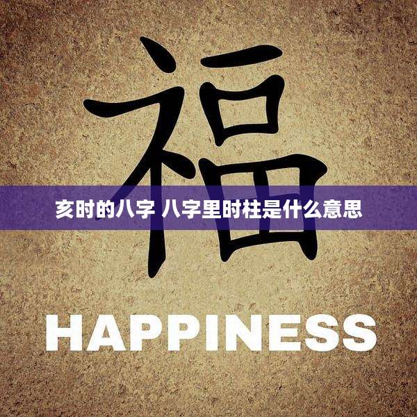 亥时的八字 八字里时柱是什么意思
