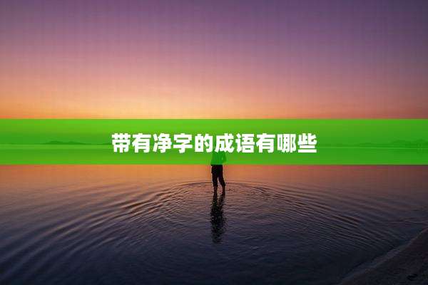 带有净字的成语有哪些