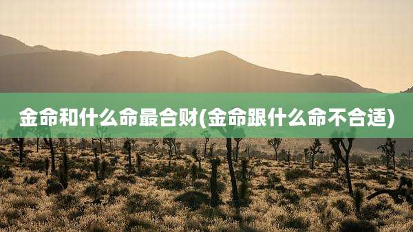 金命和什么命最合财(金命跟什么命不合适)