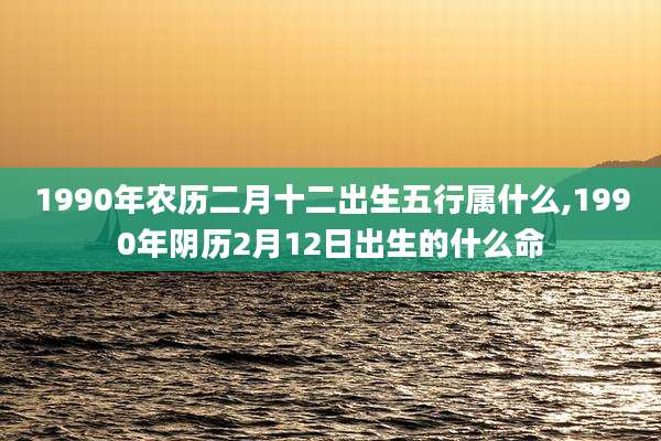 1990年农历二月十二出生五行属什么,1990年阴历2月12日出生的什么命
