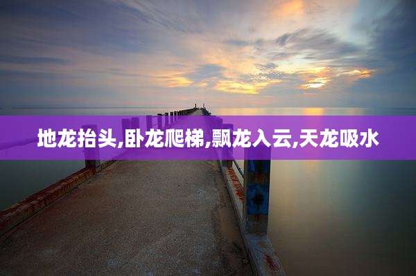 地龙抬头,卧龙爬梯,飘龙入云,天龙吸水