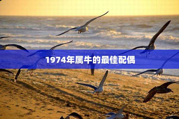 1974年属牛的最佳配偶