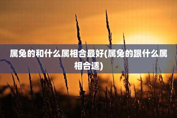 属兔的和什么属相合最好(属兔的跟什么属相合适)