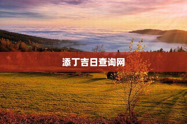 添丁吉日查询网