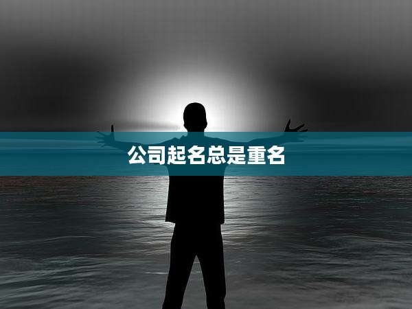 公司起名总是重名