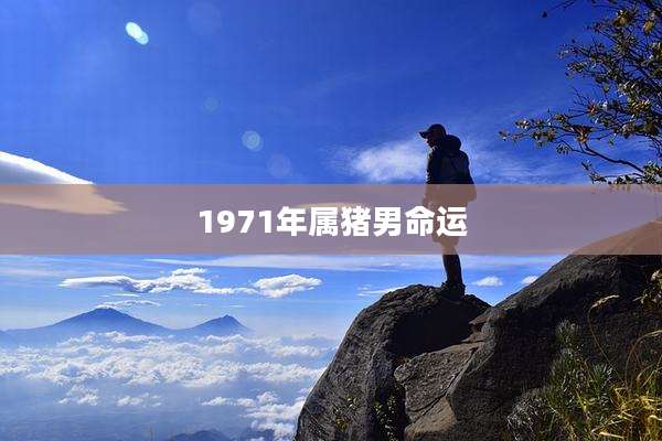 1971年属猪男命运