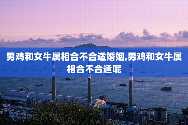 男鸡和女牛属相合不合适婚姻,男鸡和女牛属相合不合适呢
