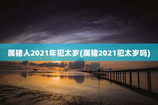 属猪人2021年犯太岁(属猪2021犯太岁吗)