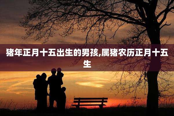 猪年正月十五出生的男孩,属猪农历正月十五生