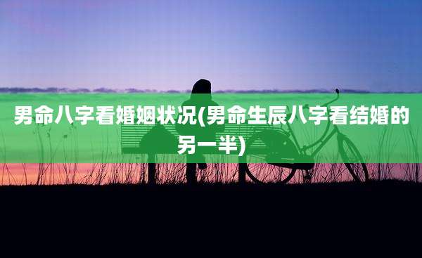 男命八字看婚姻状况(男命生辰八字看结婚的另一半)