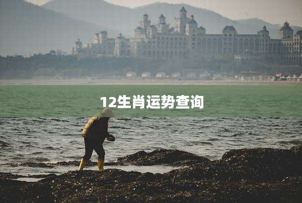 12生肖运势查询