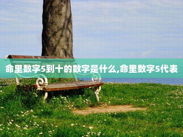 命里数字5到十的数字是什么,命里数字5代表