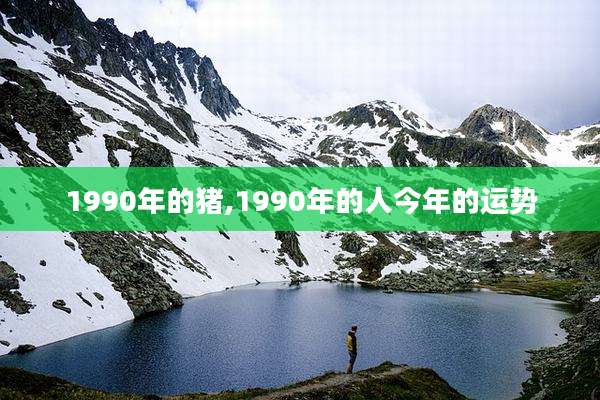 1990年的猪,1990年的人今年的运势