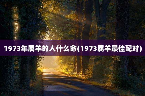1973年属羊的人什么命(1973属羊最佳配对)