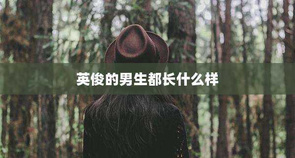 英俊的男生都长什么样