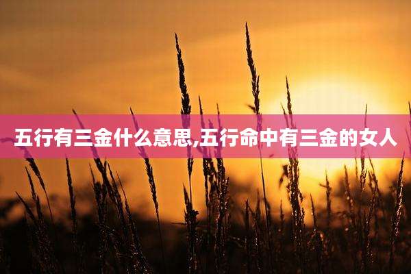 五行有三金什么意思,五行命中有三金的女人