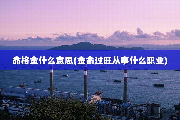 命格金什么意思(金命过旺从事什么职业)