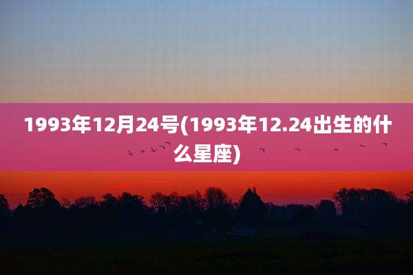 1993年12月24号(1993年12.24出生的什么星座)