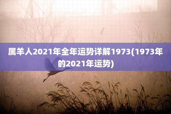 属羊人2021年全年运势详解1973(1973年的2021年运势)