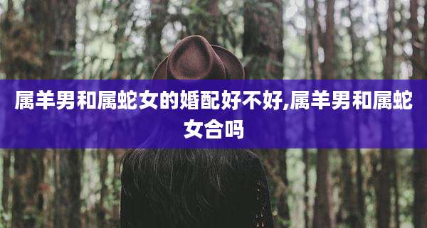 属羊男和属蛇女的婚配好不好,属羊男和属蛇女合吗
