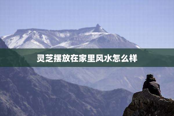 灵芝摆放在家里风水怎么样