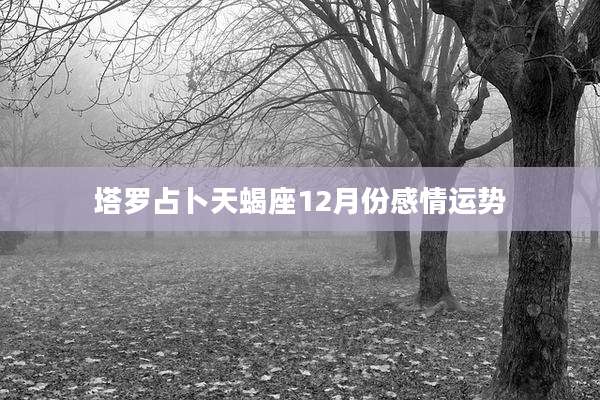 塔罗占卜天蝎座12月份感情运势