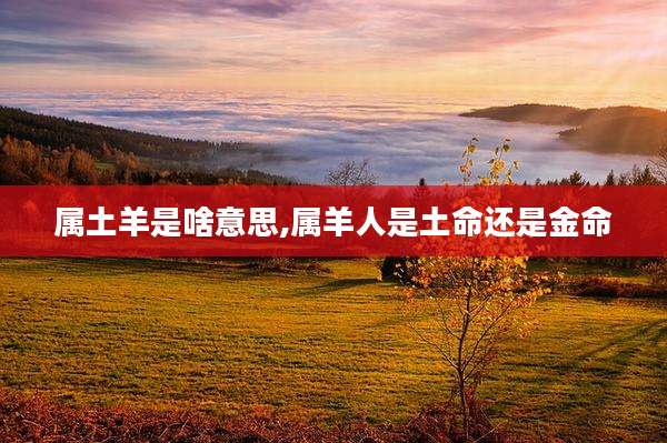 属土羊是啥意思,属羊人是土命还是金命