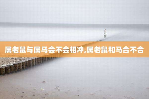 属老鼠与属马会不会相冲,属老鼠和马合不合