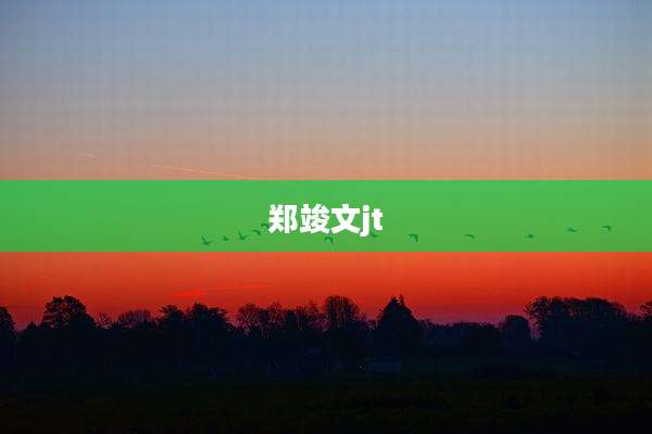 郑竣文jt