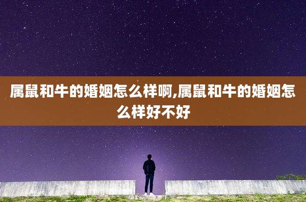属鼠和牛的婚姻怎么样啊,属鼠和牛的婚姻怎么样好不好