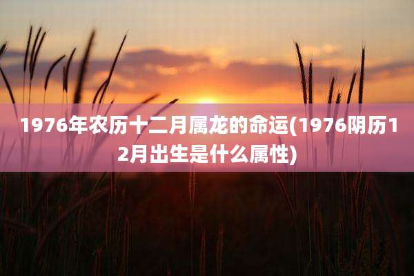 1976年农历十二月属龙的命运(1976阴历12月出生是什么属性)