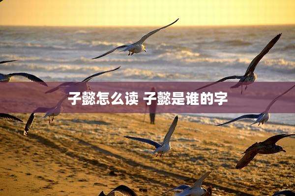 子懿怎么读 子懿是谁的字