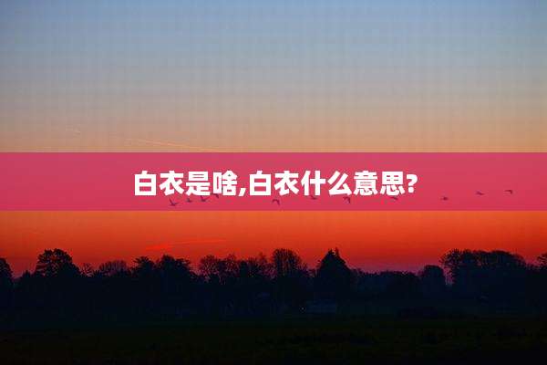 白衣是啥,白衣什么意思?