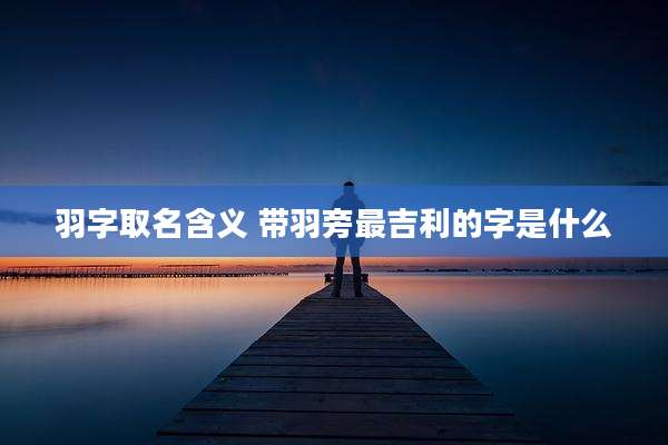 羽字取名含义 带羽旁最吉利的字是什么
