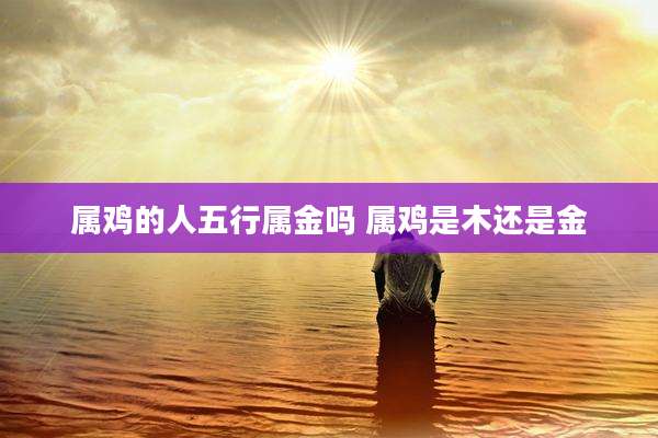 属鸡的人五行属金吗 属鸡是木还是金